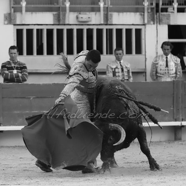 St martin de crau 20190407 aprem 9 