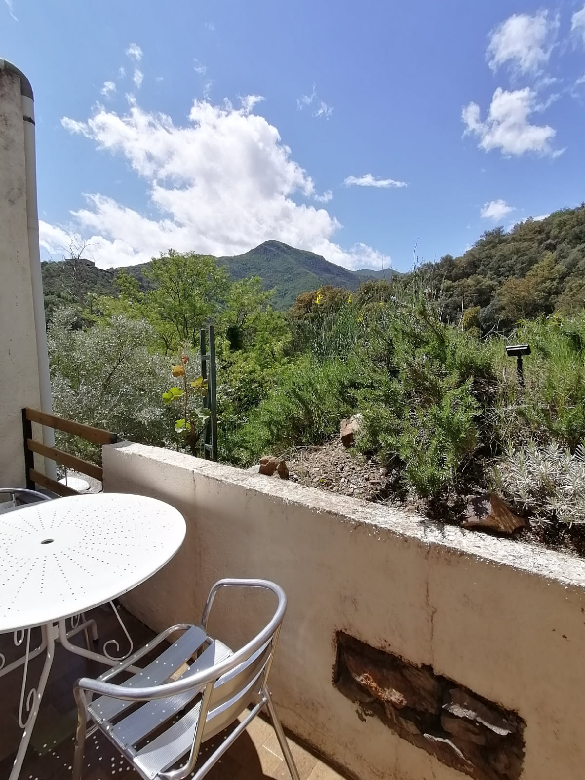 Studio terrasses1