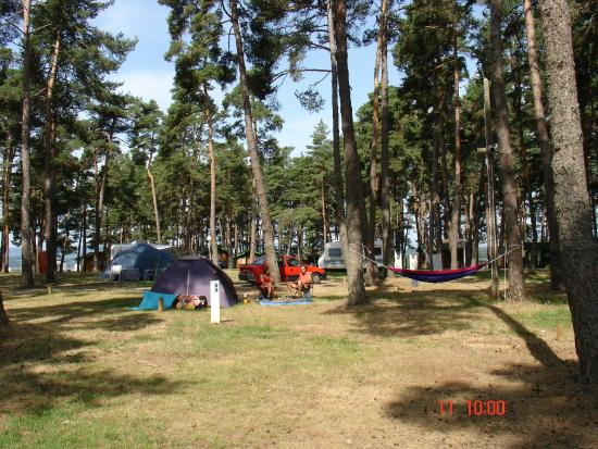 Emplacement en sous bois ou au soleil