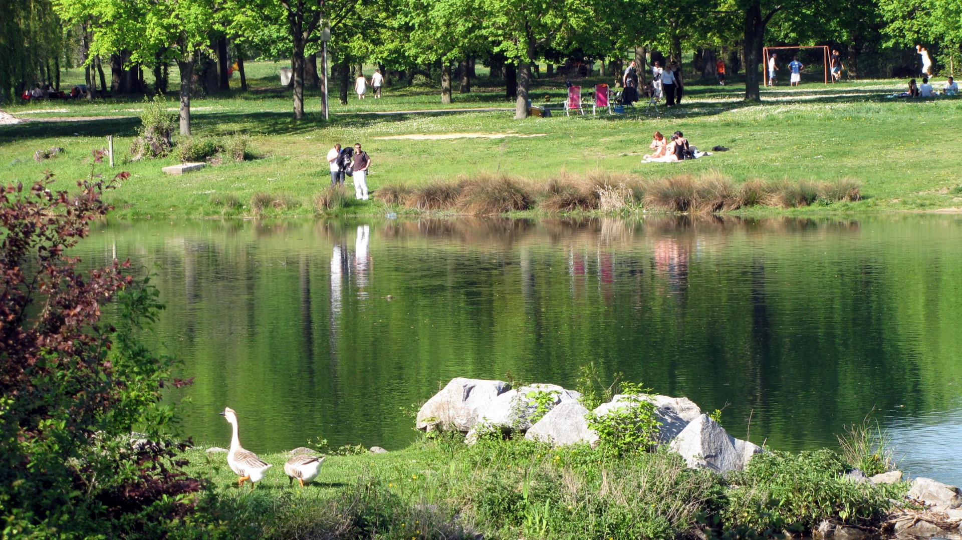 2011 04 eaux vives st pierre 37 
