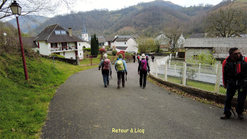 Img8777