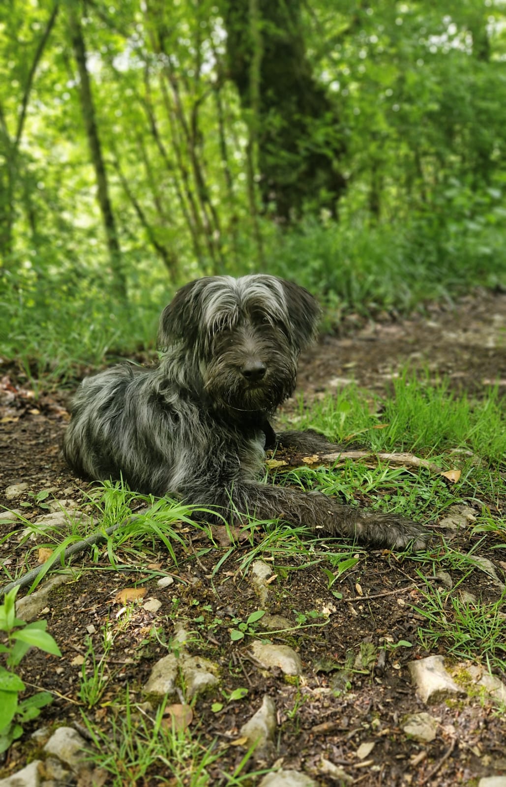 Whatsapp image 2025 05 11 at 18 12 59