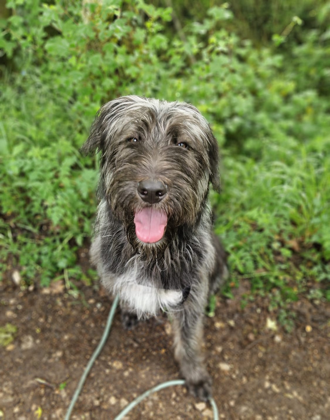 Whatsapp image 2025 05 11 at 18 12 58