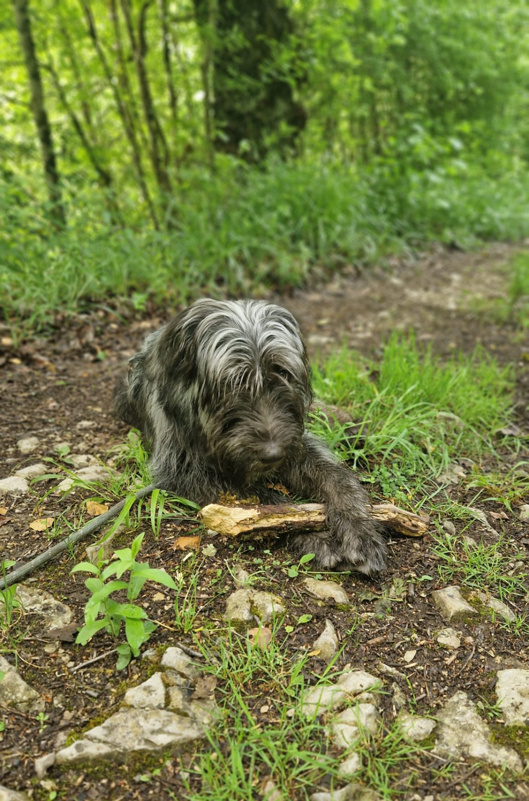 Whatsapp image 2025 05 11 at 18 12 58 1 