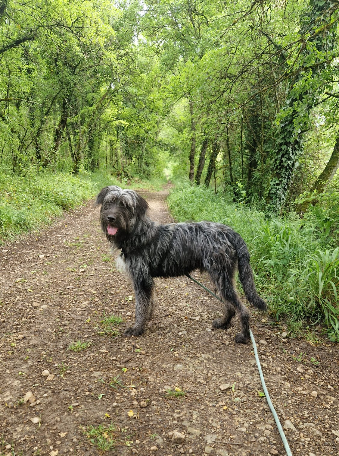 Whatsapp image 2025 05 11 at 18 12 56