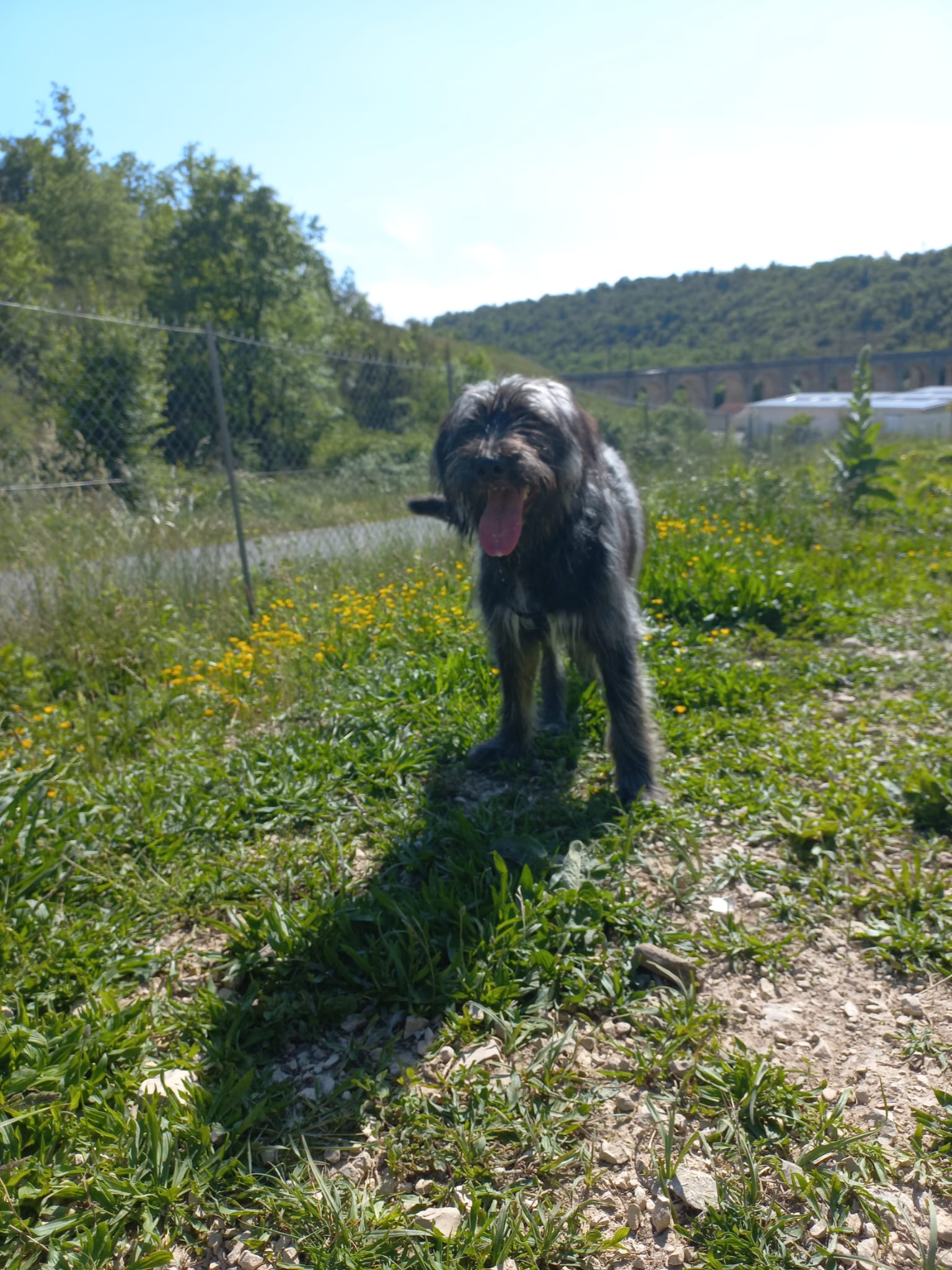 Whatsapp image 2025 05 19 at 10 43 53