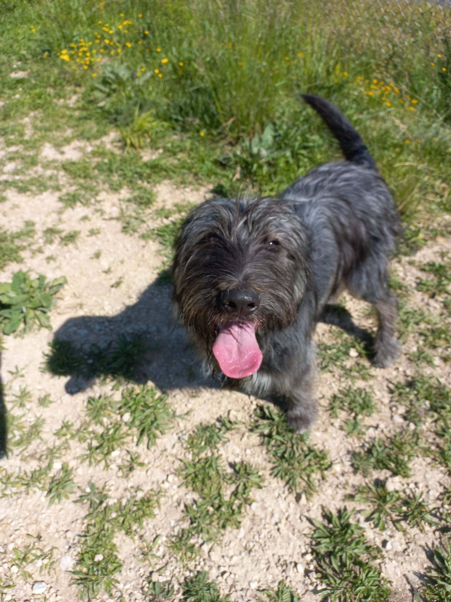 Whatsapp image 2025 05 19 at 10 43 52 1 