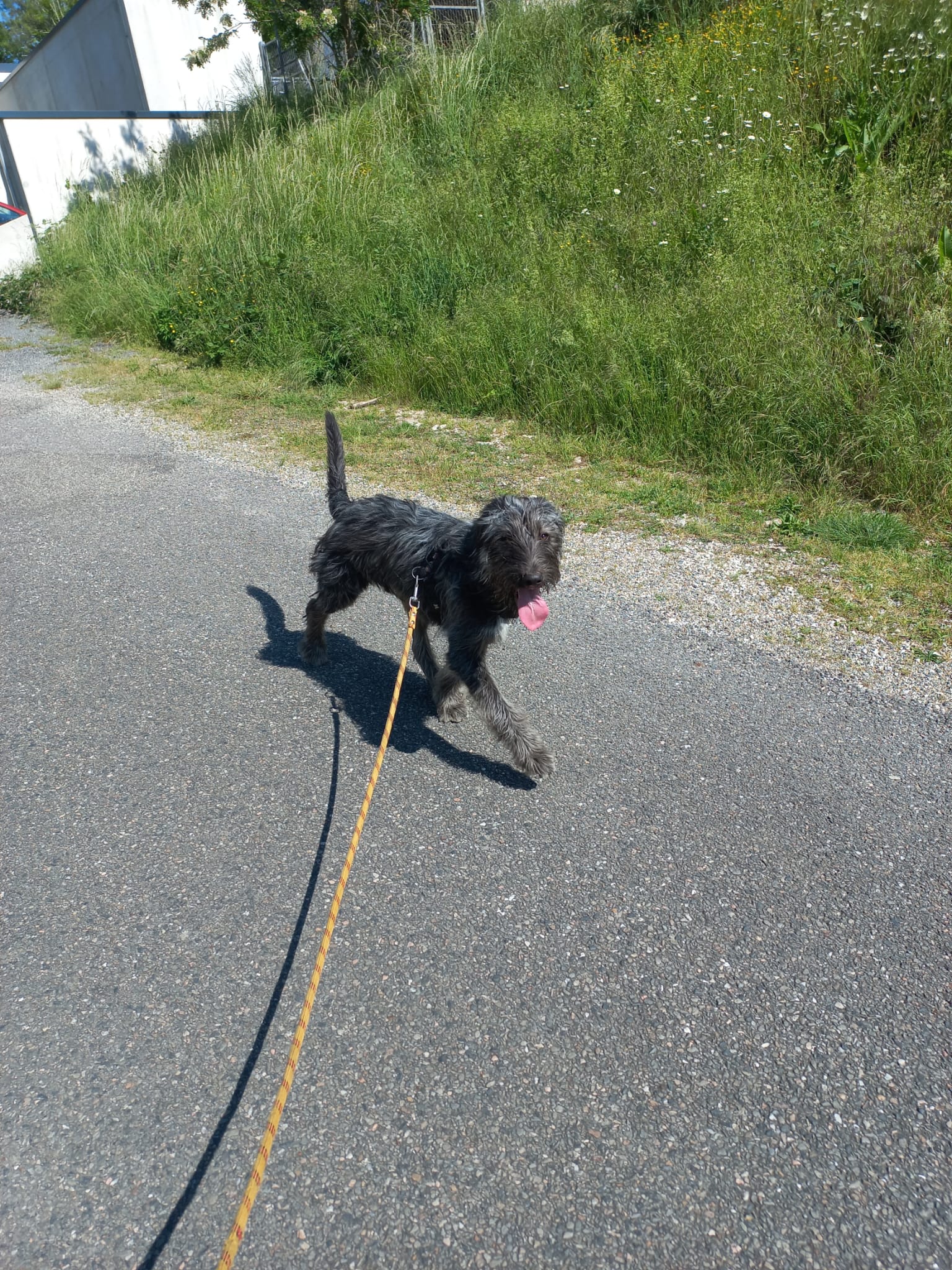 Whatsapp image 2025 05 19 at 10 43 54