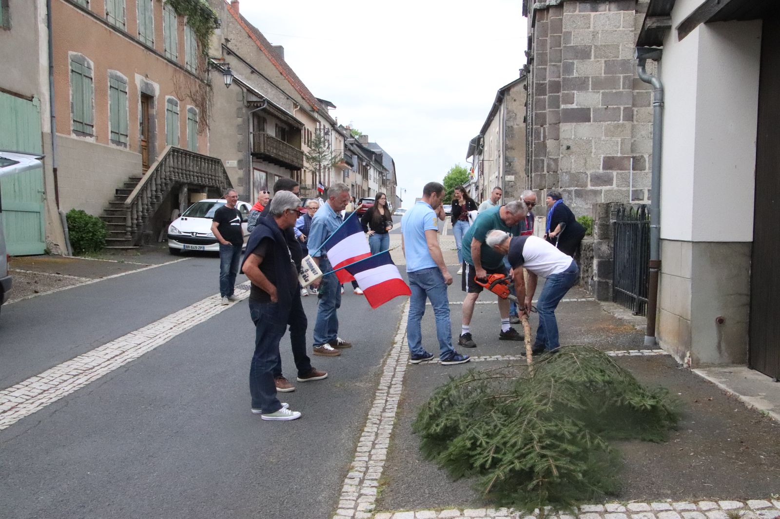 Img 1560
