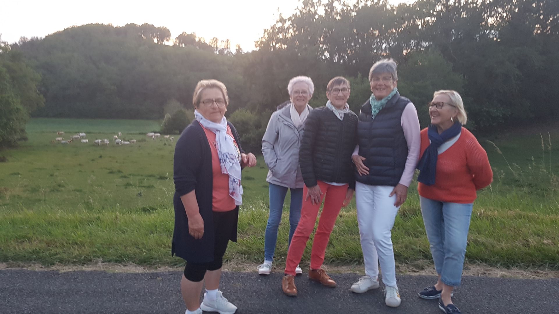 Resized 20230525 213413 8127