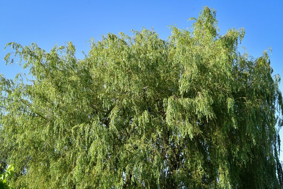 453898908 122159939300139987 997478868057412471 n