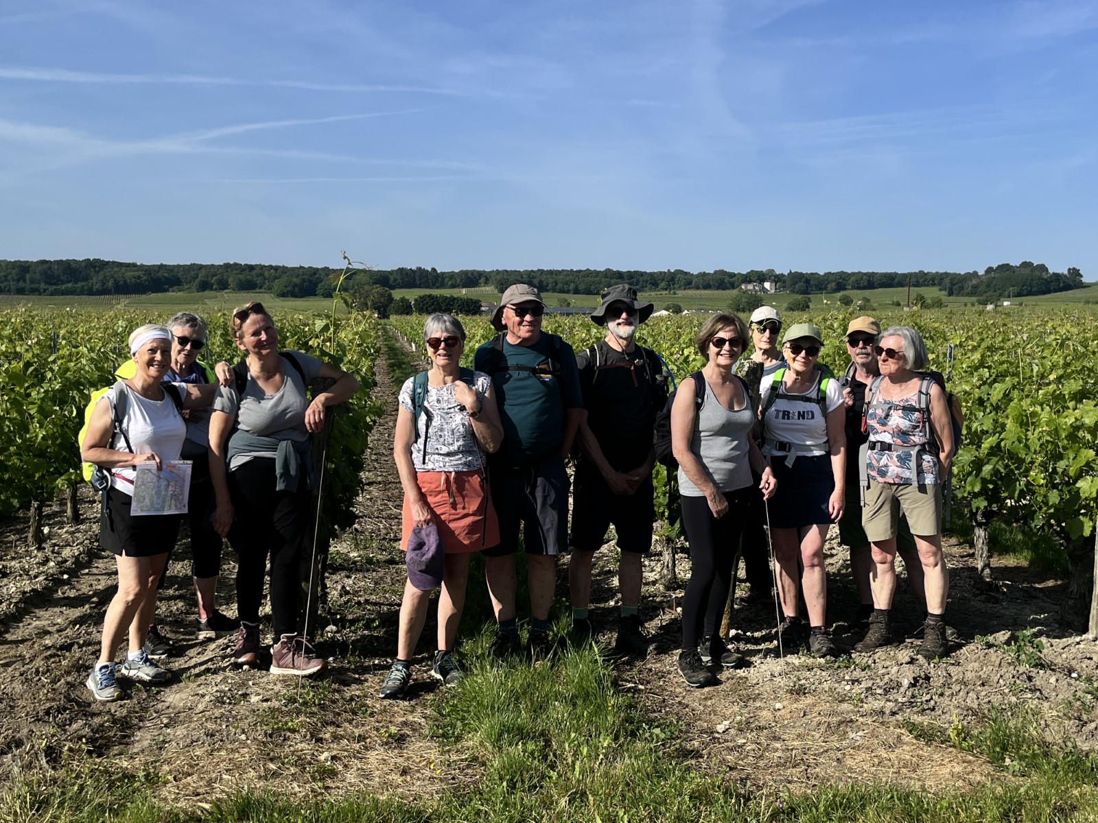 Dm saumur 33 