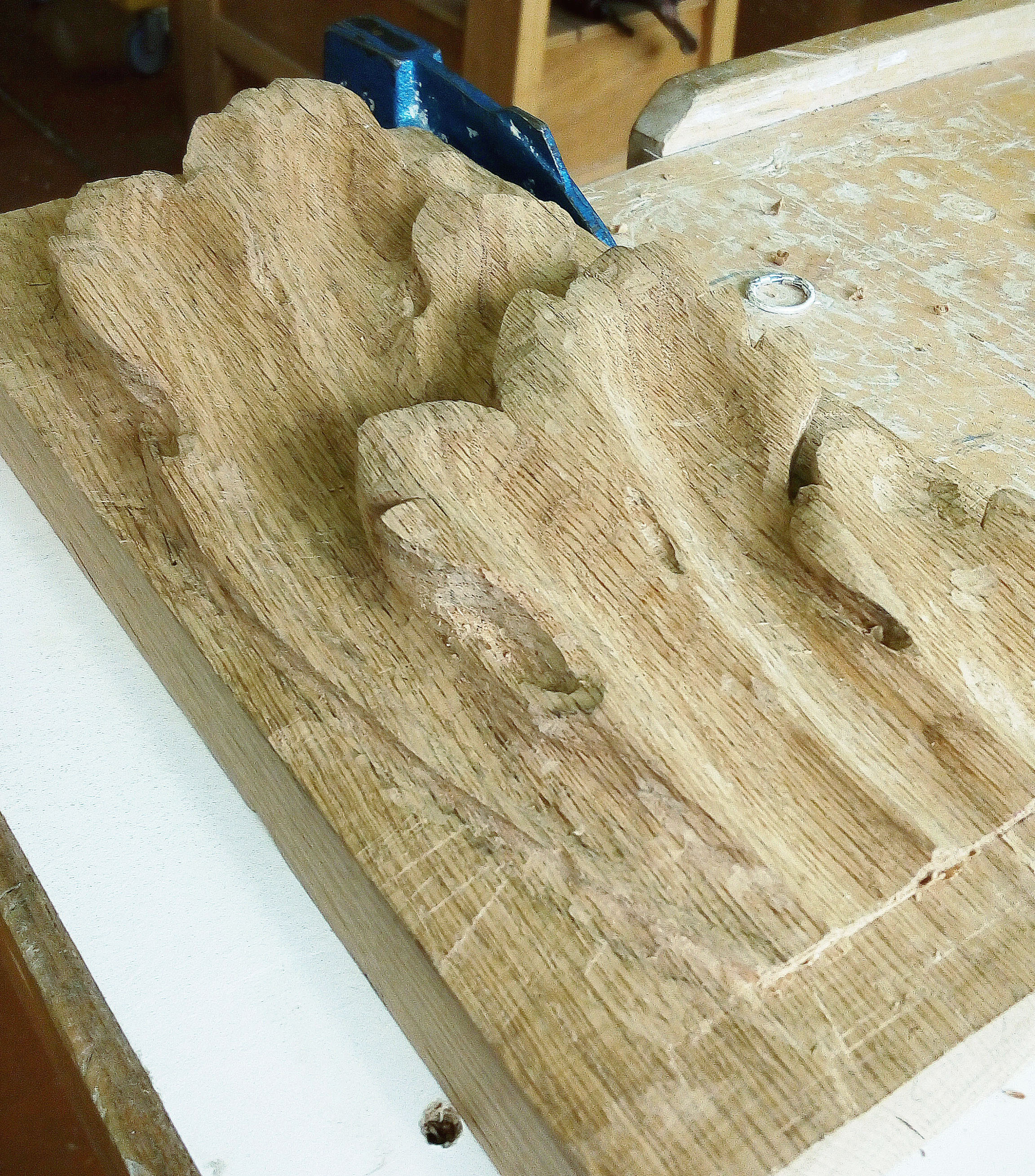 6 sculpt acanthes