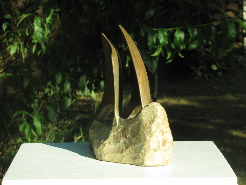 Voile d odyssee 3 800x600 