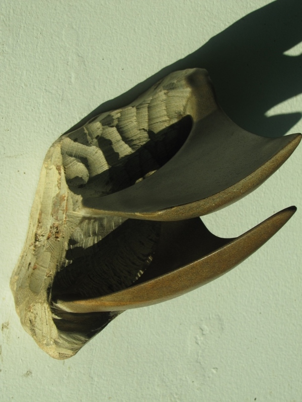 Voile d odyssee 10 800x600 