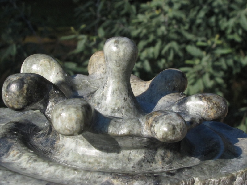 Fleur d eau 6 800x600 