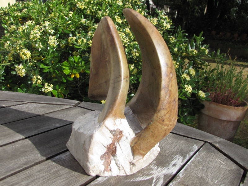 Voiles d odyssee iv 7 