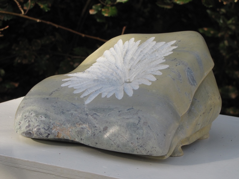 Touche d ailes iv 1 800x600 