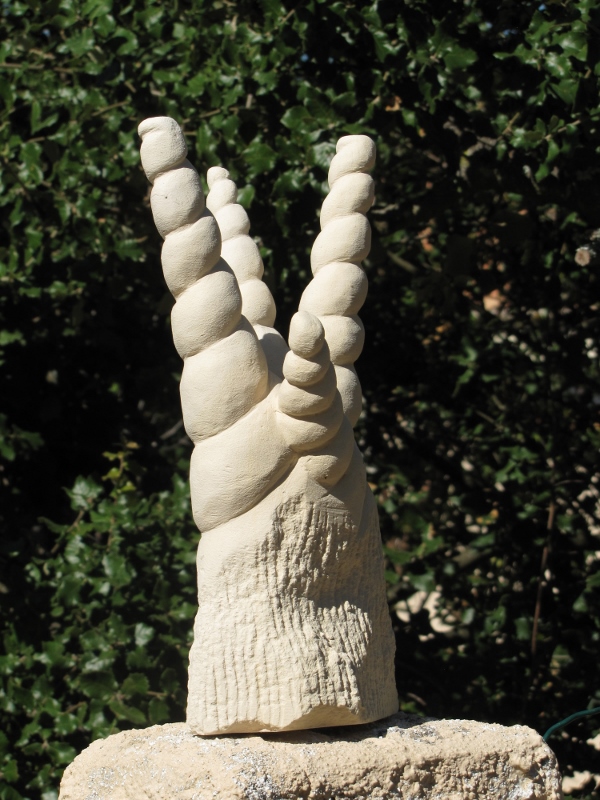 Licorne fossilisee iii 10 600x800 