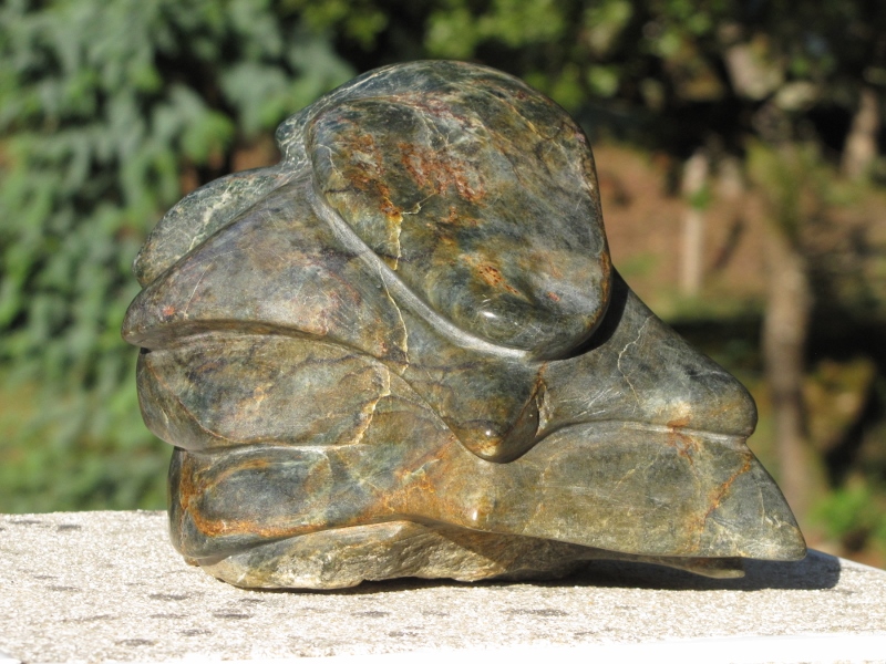 Touche d ailes v 2 800x600 