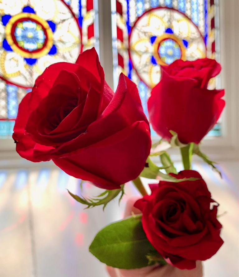 2023 5 14 6 roses window