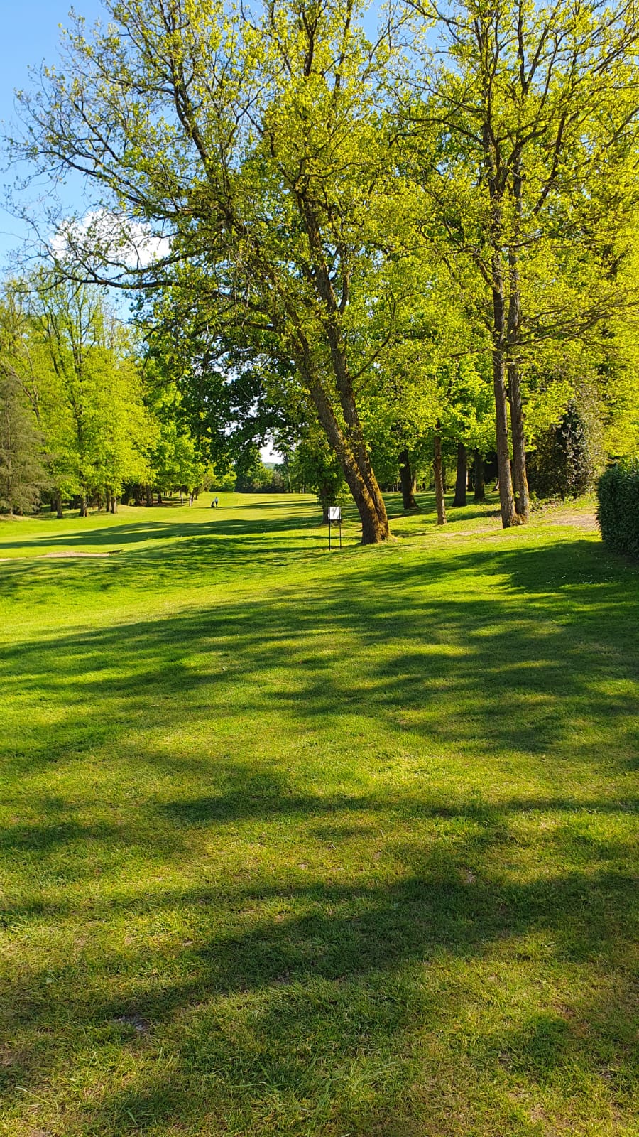 IMG-20250429-WA0011