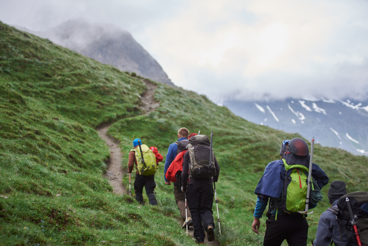 Vistacreate 358733680 stock photo back view travelers backpacks using trekking poles while climbing grassy
