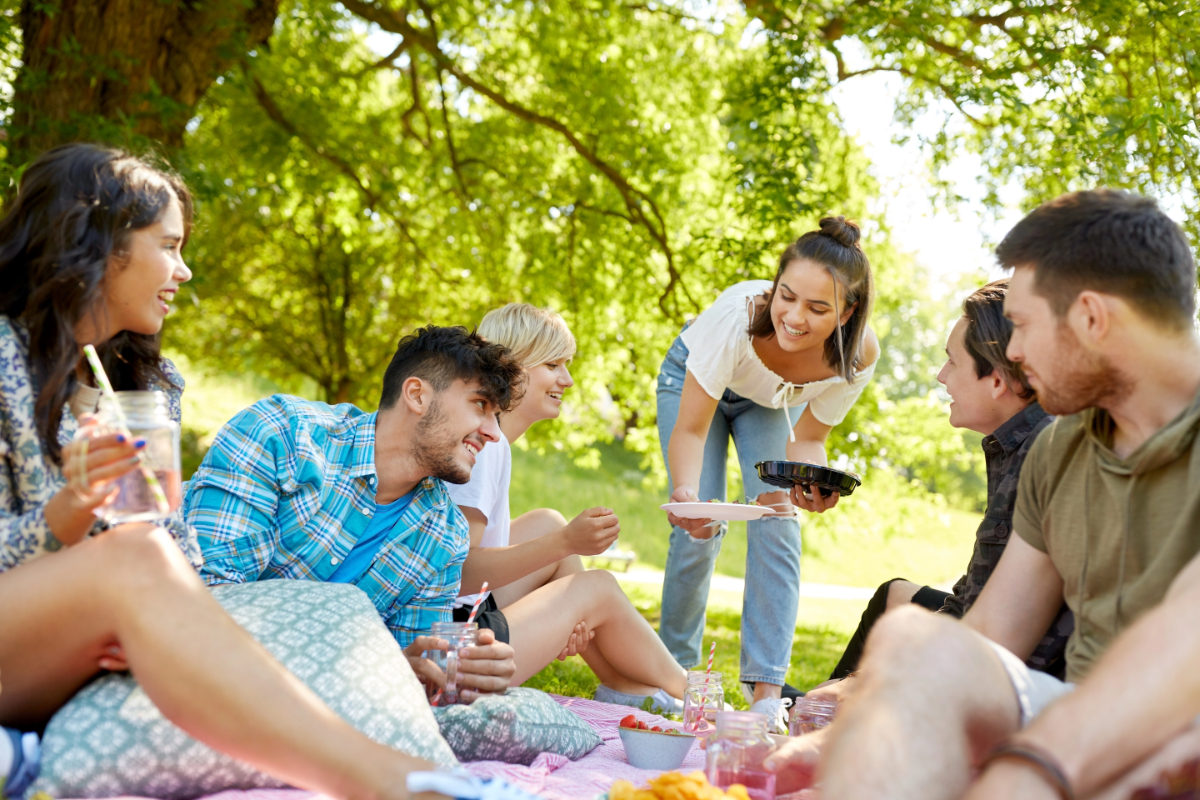 Vistacreate 227543784 stock photo friends with drinks and food at picnic in park