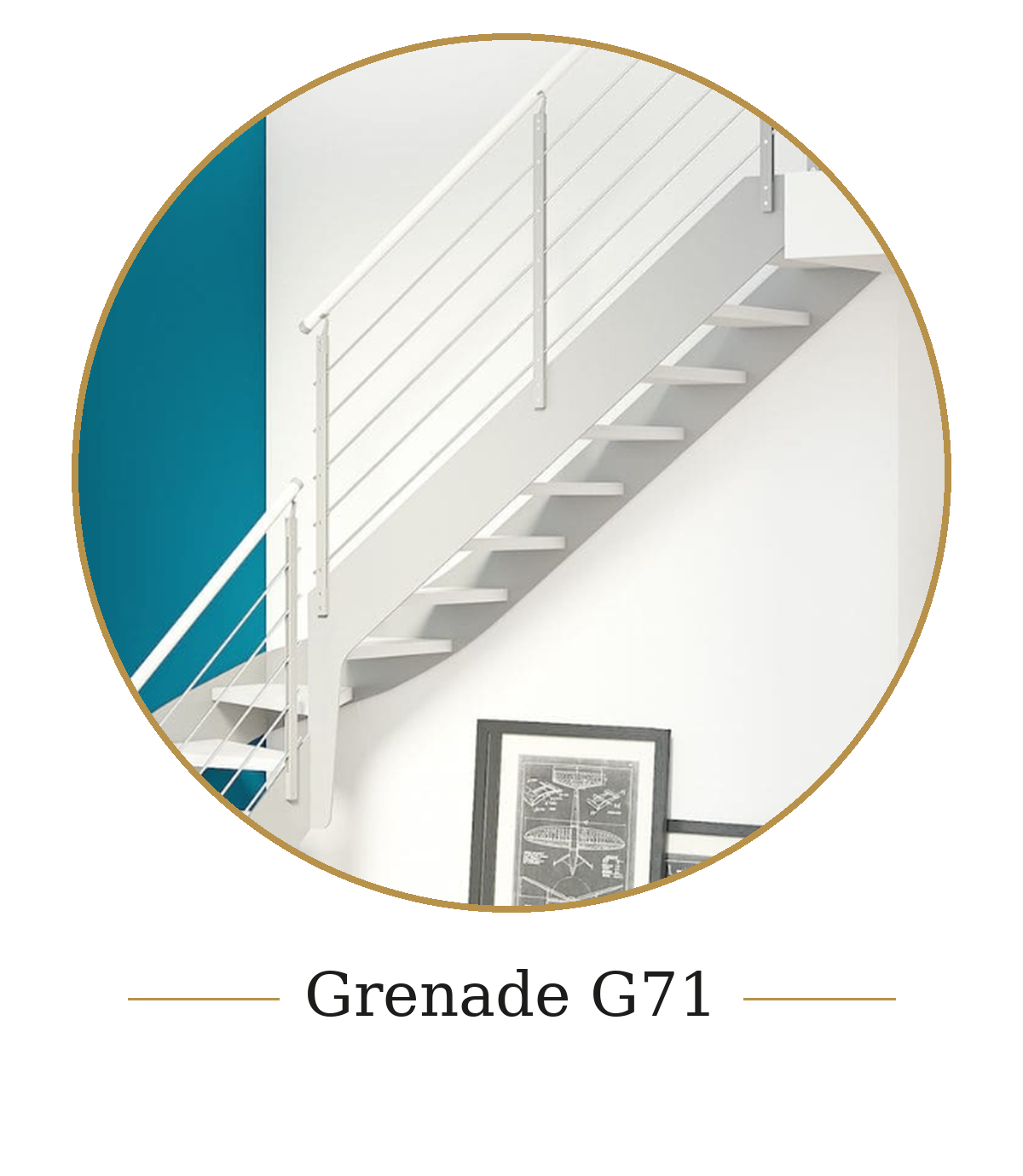 Grenade g71