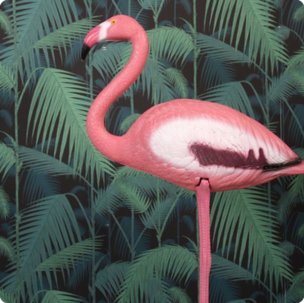 Flamant Rose & klevering