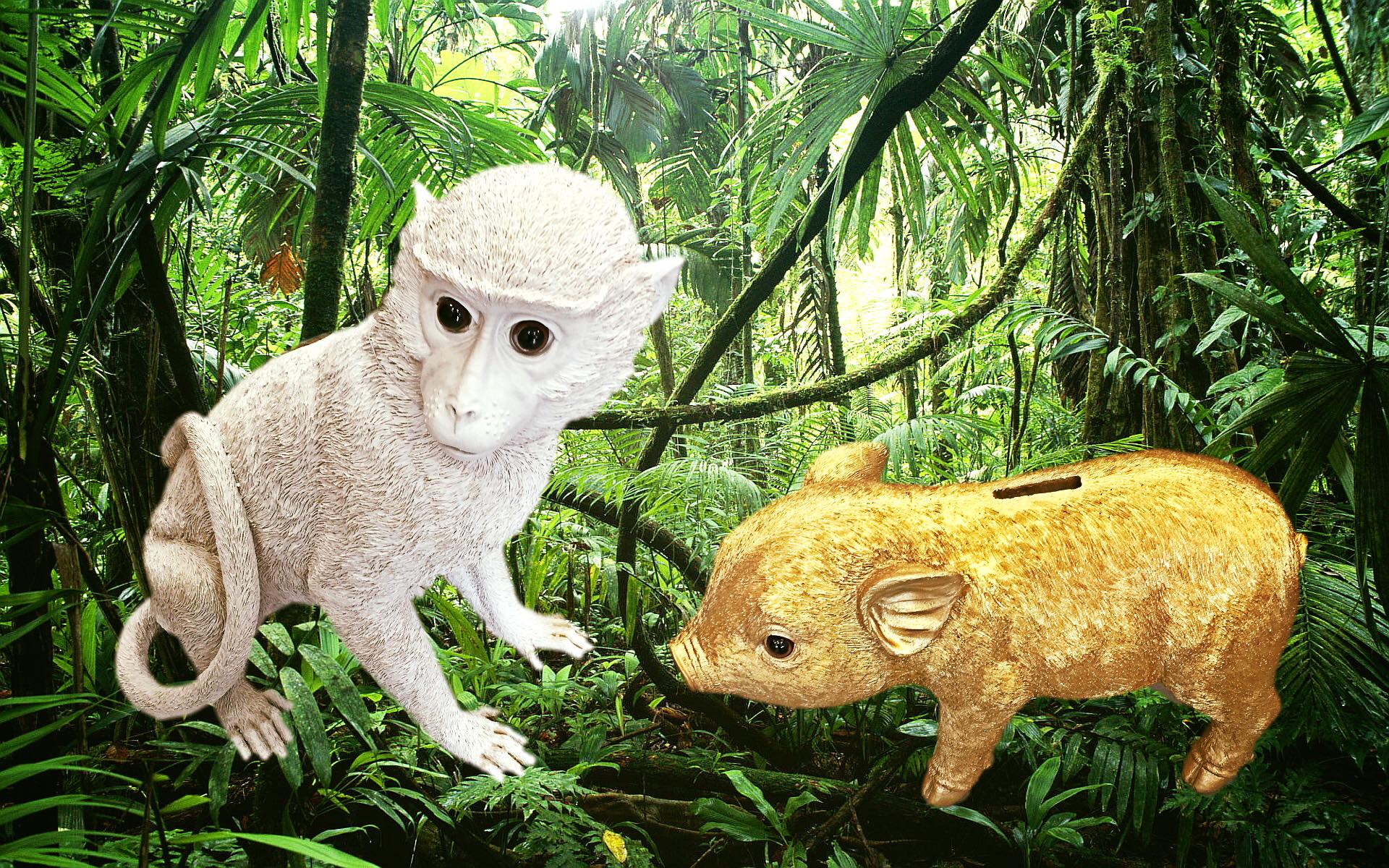 Singe et cochon tirelire 
&klevering