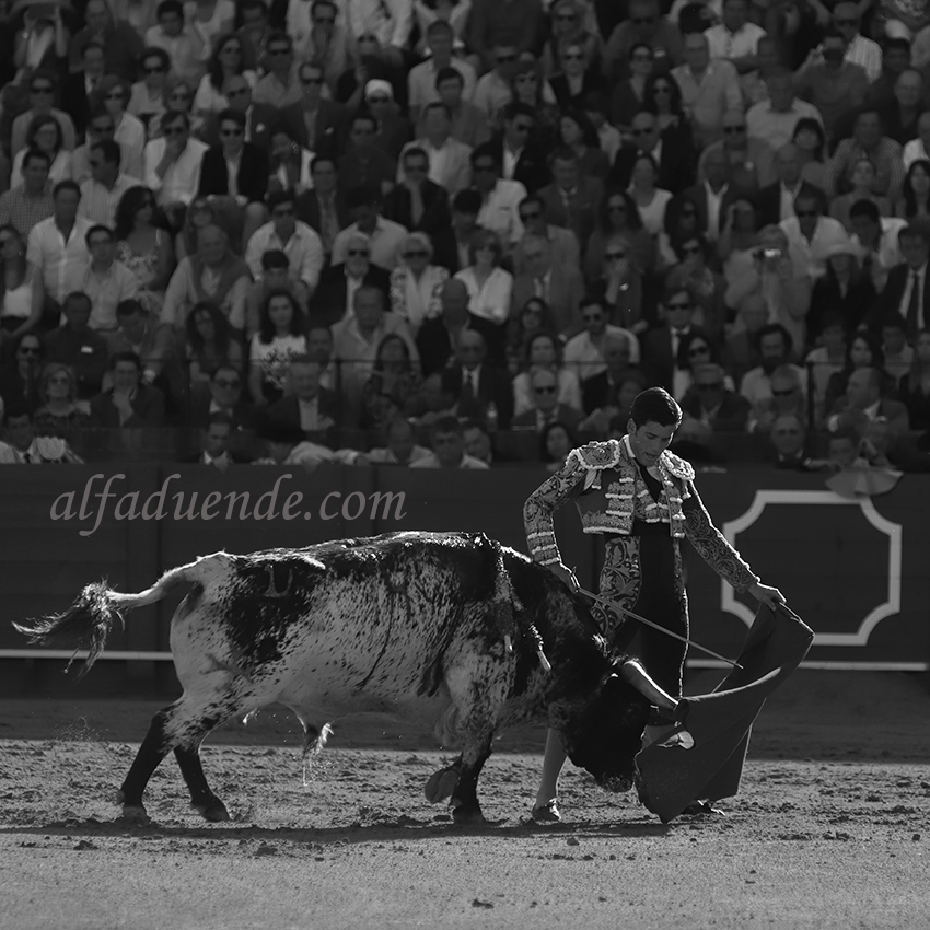 Sevilla20190501 img 7286