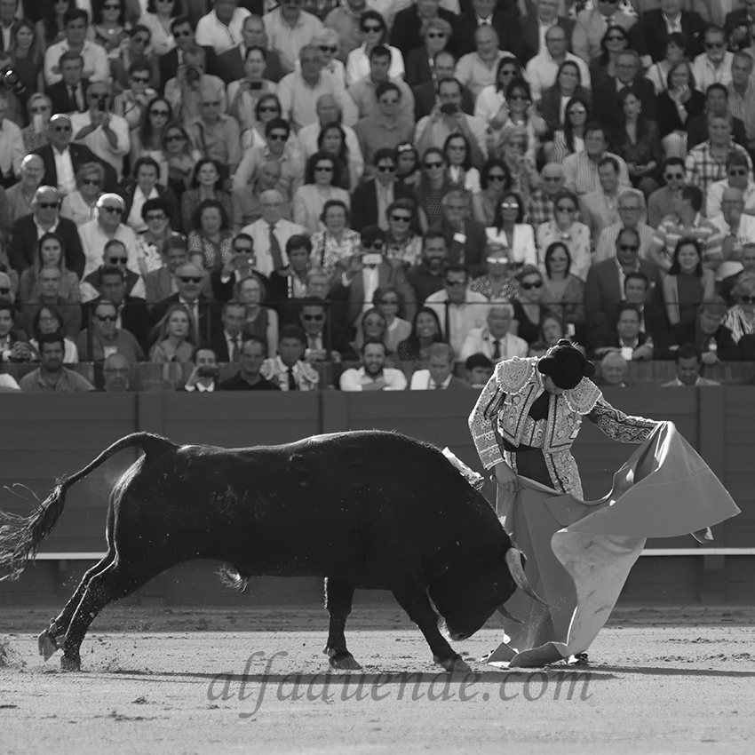 Sevilla20190502 sevilla20190502 img 7922