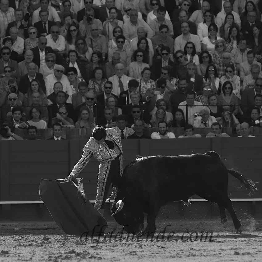 Sevilla20190502 sevilla20190502 img 8075