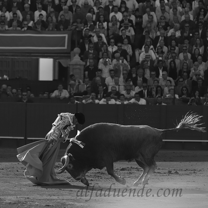 Sevilla20190502 sevilla20190502 img 8119