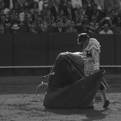 Sevilla20190502 sevilla20190502 img 8230