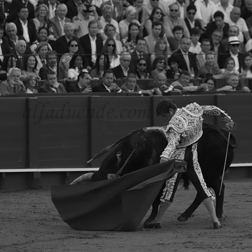 Sevilla20190502 sevilla20190502 img 8678