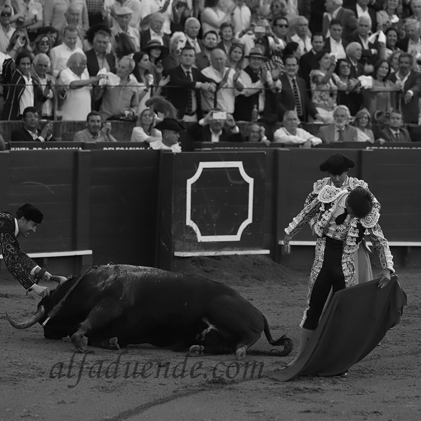 Sevilla20190502 sevilla20190502 img 8724