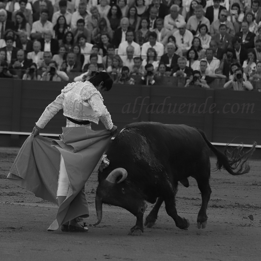 Sevilla20190502 sevilla20190502 img 8772