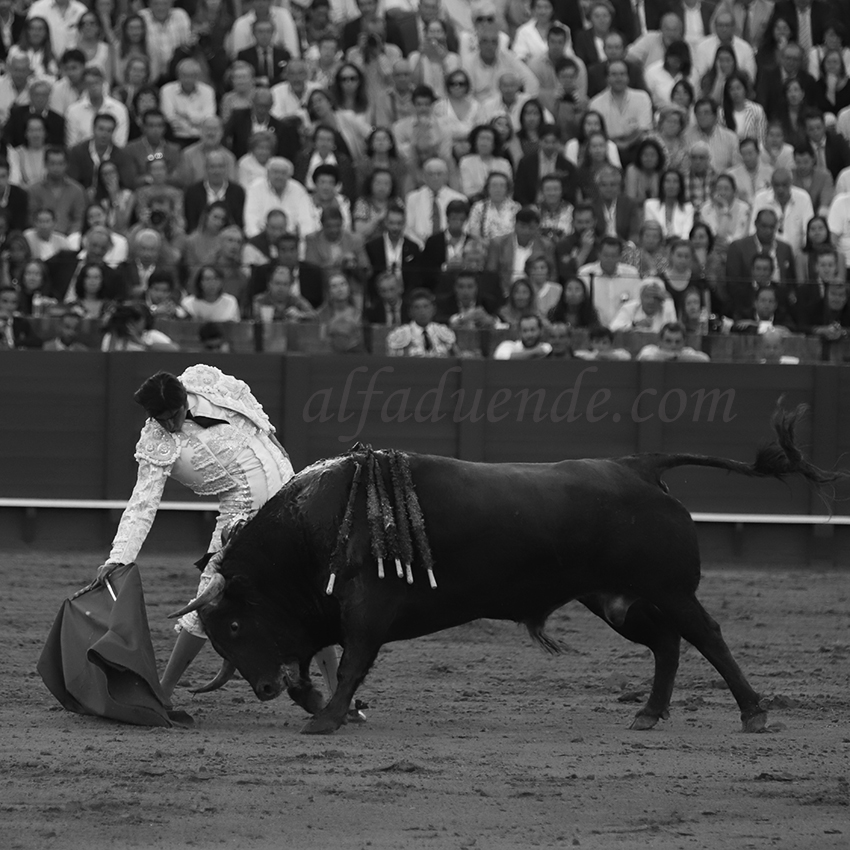 Sevilla20190502 sevilla20190502 img 8819