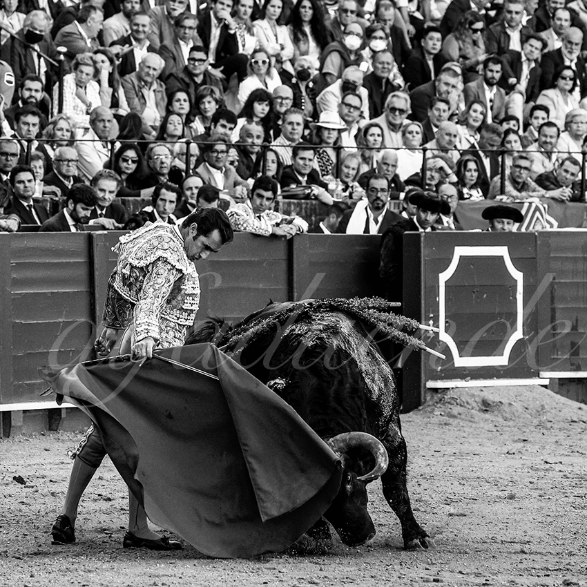 20220428 sevilla 002