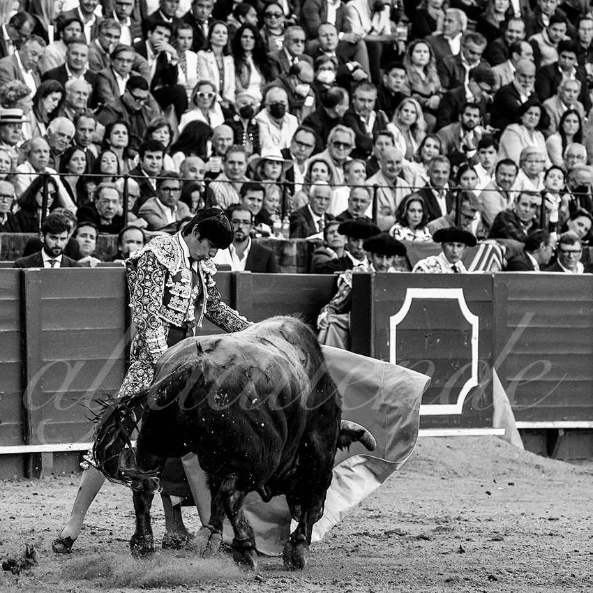 20220428 sevilla 003