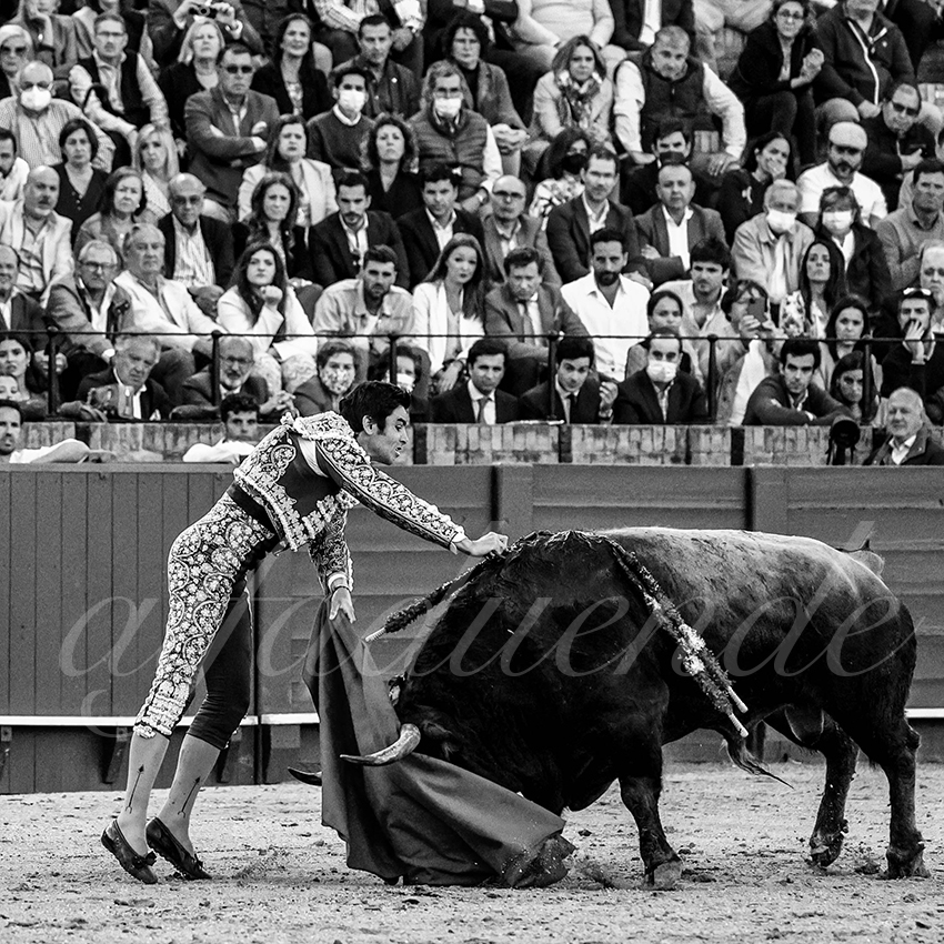 20220428 sevilla 005