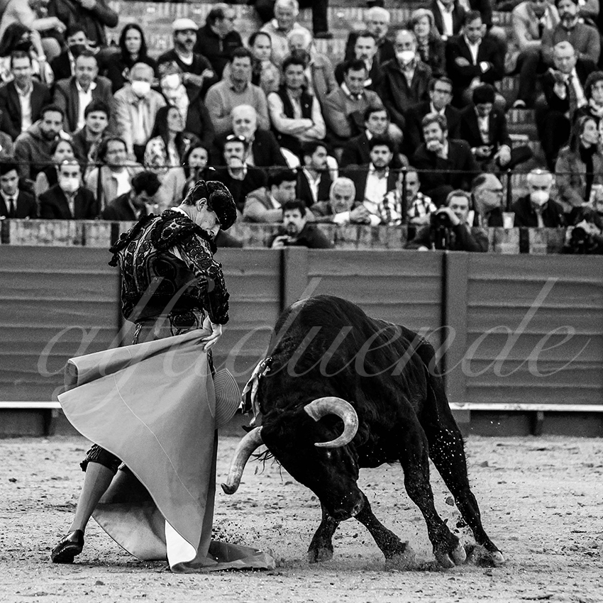 20220428 sevilla 006