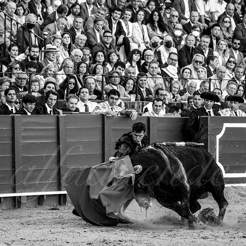 20220428 sevilla 007