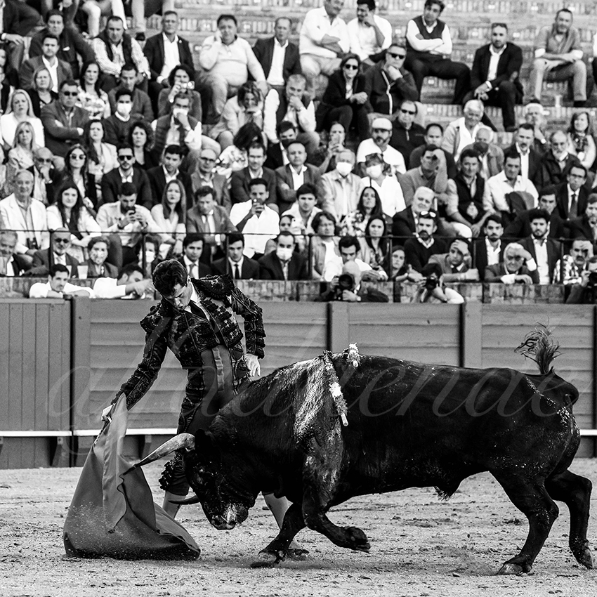 20220428 sevilla 008