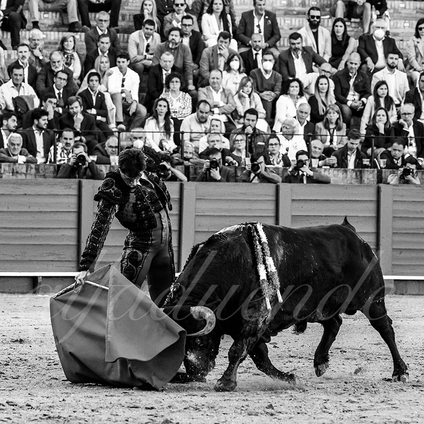 20220428 sevilla 009