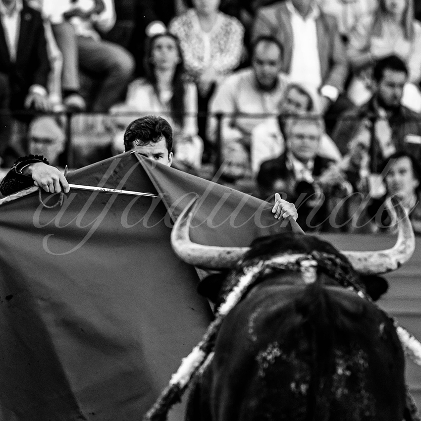 20220428 sevilla 010