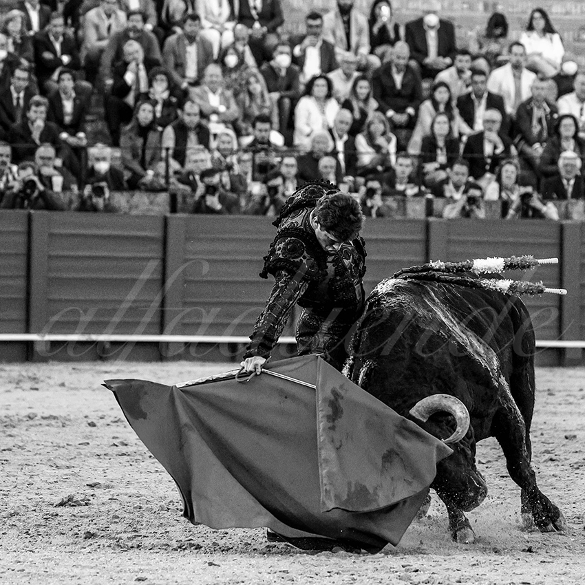 20220428 sevilla 012