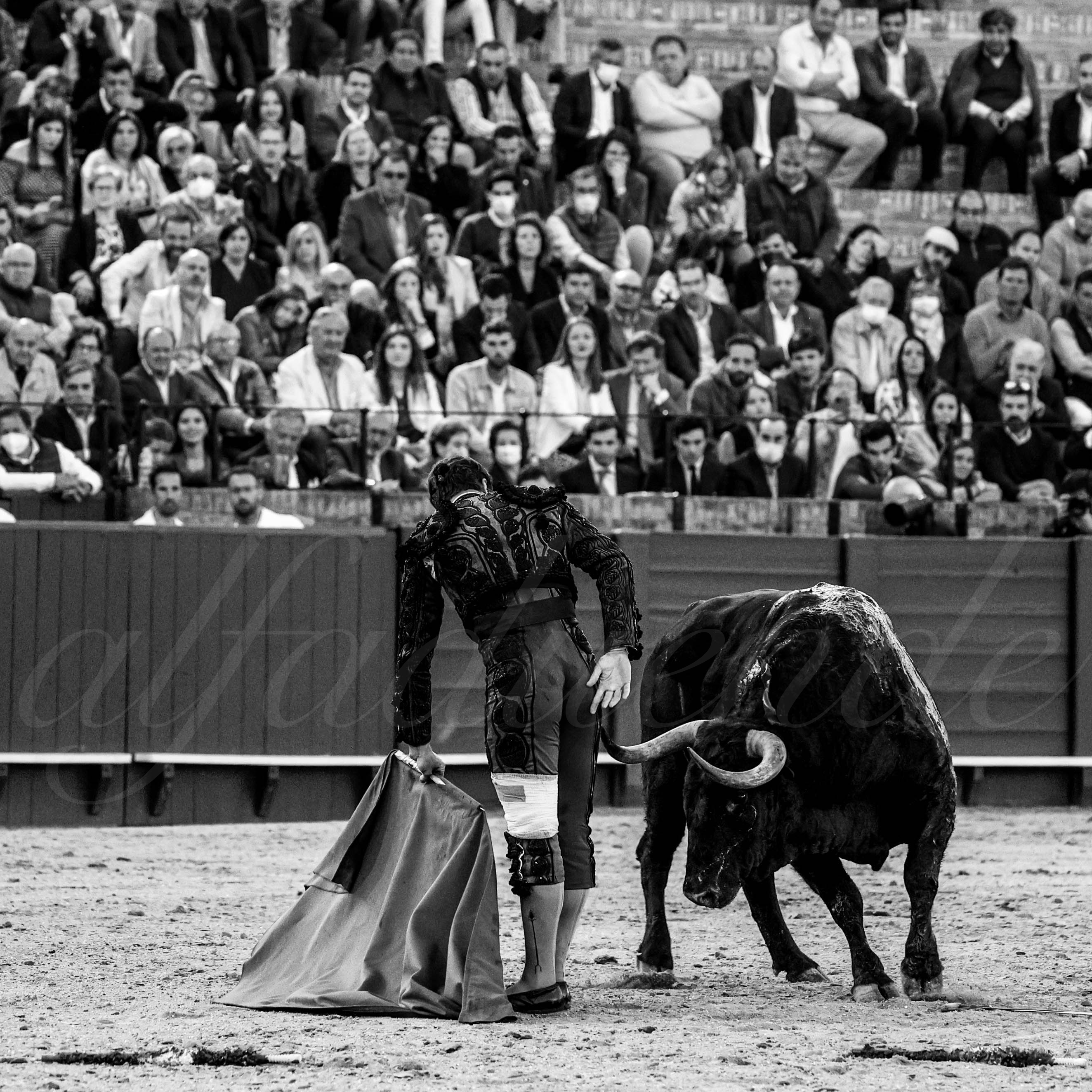 20220428 sevilla 013